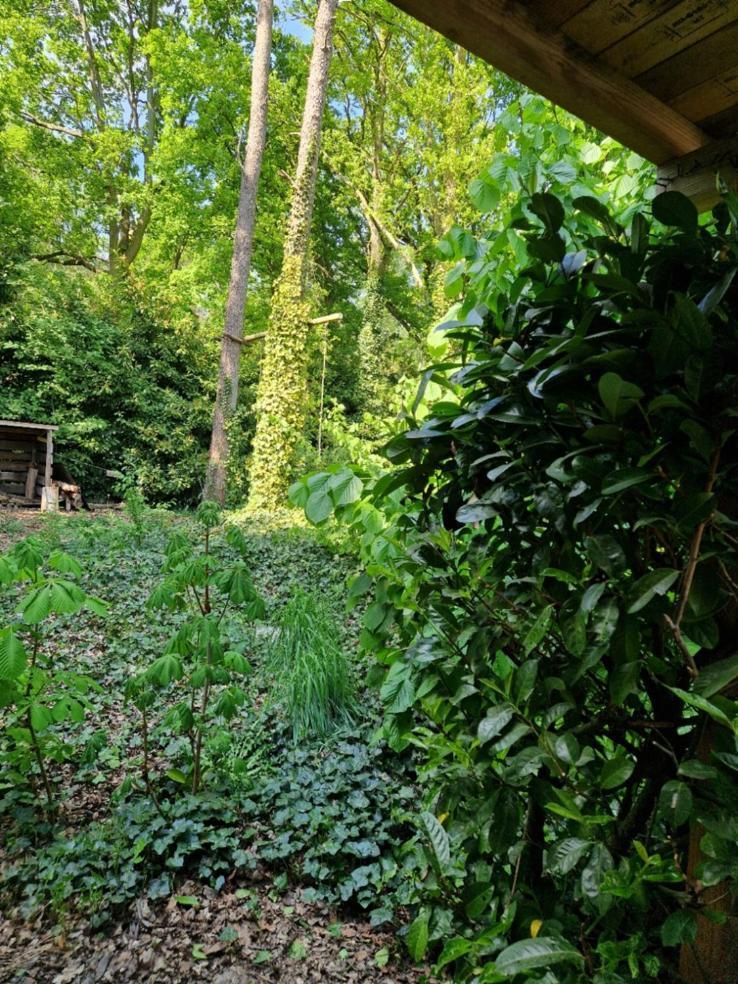 Benb Op De Vleet Vrijstaande Accommodatie Plantage Centrum Экстерьер фото